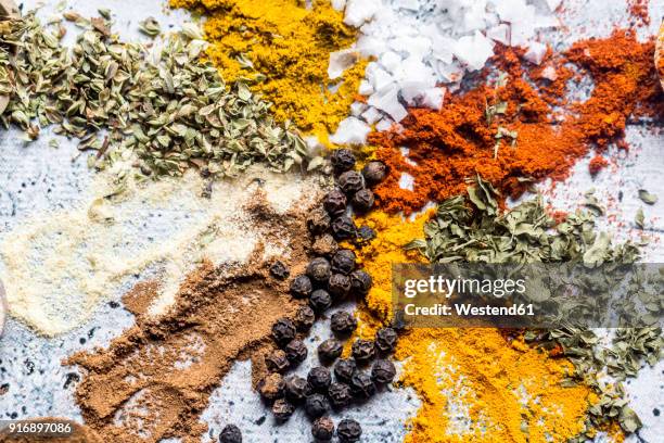 spices, curry, chilli, cinnamon, curcuma, garlic, parsley, oregano, salt and pepper on wood - curcuma stock pictures, royalty-free photos & images