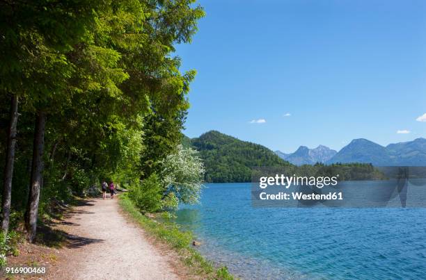 austria, salzkammergut, salzburg state, sankt gilgen, wolfgangsee, hikers on waterfront promenade - wolfgangsee stock pictures, royalty-free photos & images