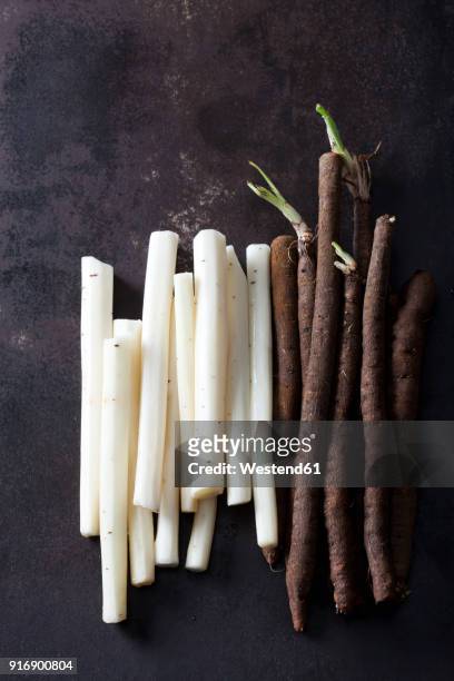 peeled and unpeeled salsifies on rusty ground - salsify stock pictures, royalty-free photos & images