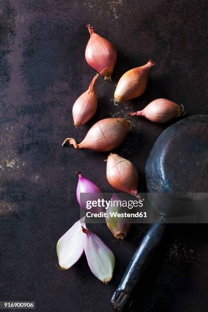 sliced and whole shallots on rusty ground - shallot stock pictures, royalty-free photos & images