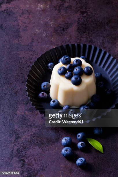 custard with blueberries in cake tin - vanillesoße stock-fotos und bilder