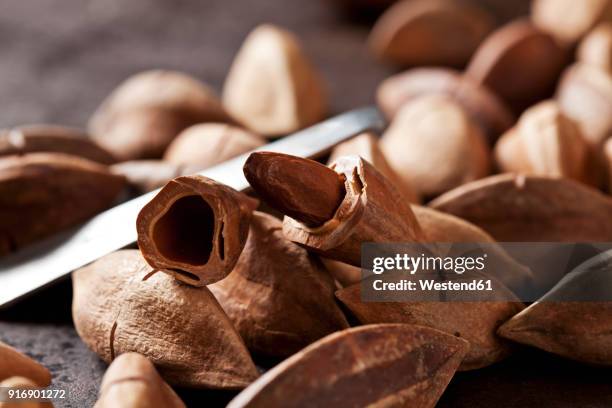 Pili Roti Pili Nut Photos and Premium High Res Pictures - Getty Images
