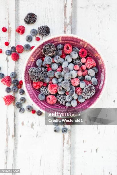 bowl of deep frozen red currents, rapsberries and blackberries - baga parte de planta - fotografias e filmes do acervo