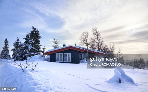 cozy mountain cabin with deep snow and snowflakes in the air, oppland county norway - norway spruce stock pictures, royalty-free photos & images