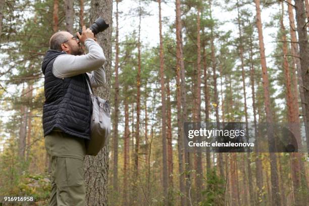 mature adult man walking in the woods and take pictures - photographing wildlife stock pictures, royalty-free photos & images