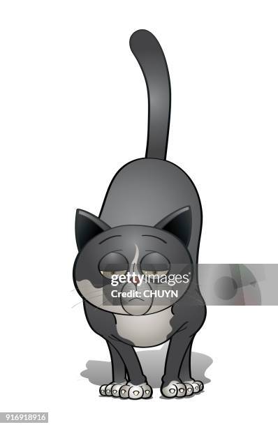 gelangweilt cat - tired cat stock-grafiken, -clipart, -cartoons und -symbole