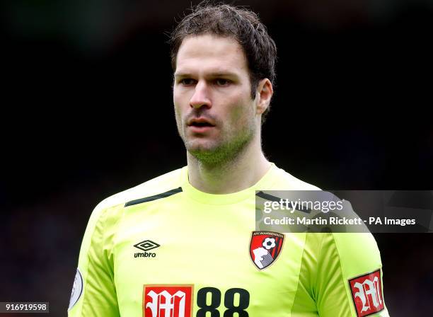 Bournemouth goalkeeper Asmir Begovic