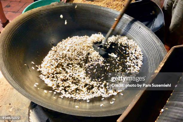 253 Mekong Delta Sand Stock Photos, High-Res Pictures, and Images ...