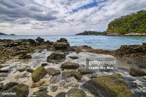 kustlijn in eiland in de buurt van okinawa - okinawa blue sky beach landscape stockfoto's en -beelden