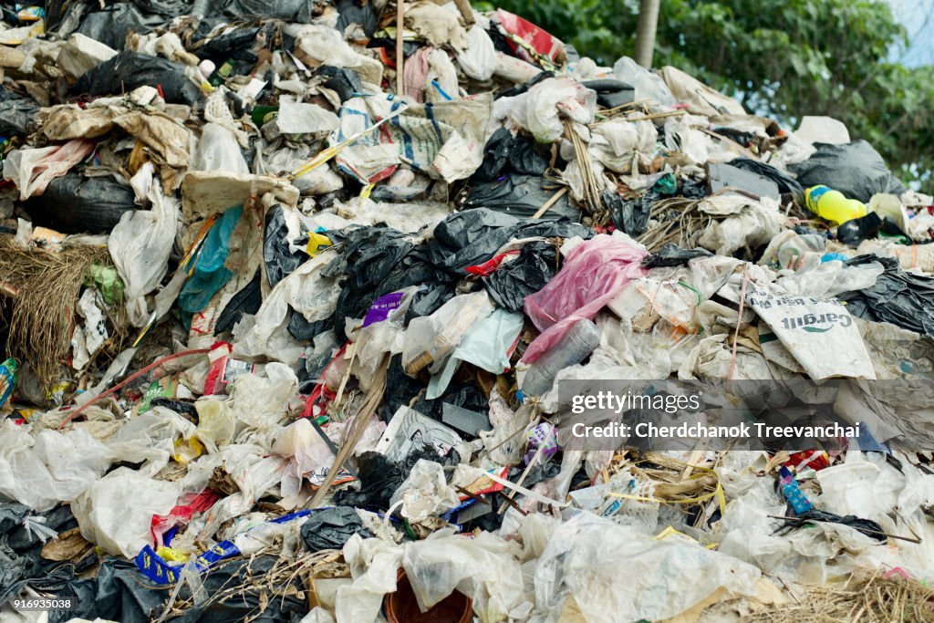 The largest landfill in from the city, Pollution