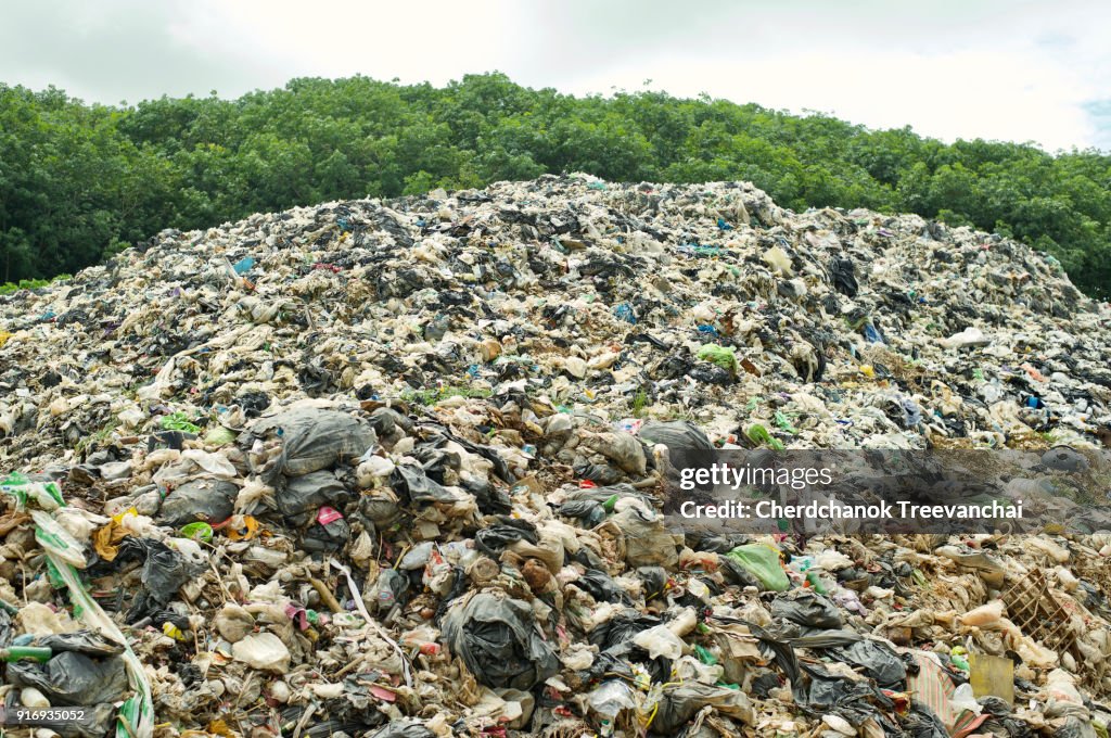 The largest landfill in from the city, Pollution