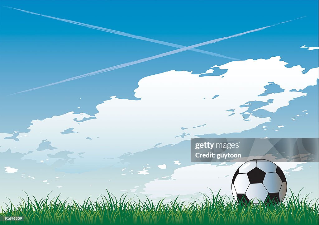 Soccer pitch