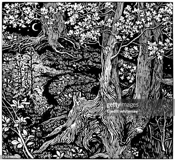 studie der bäume - mary j. newill - woodcut stock-grafiken, -clipart, -cartoons und -symbole