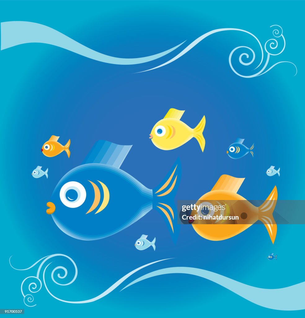 Graphics Fish Swim Colourful Fish Swimming Underwater High-Res Vector Graphic - Getty Images