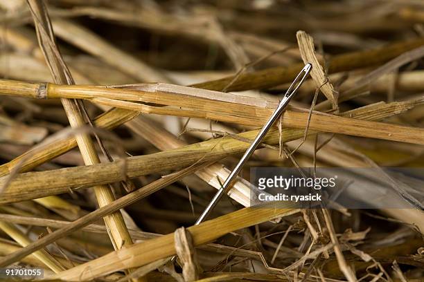 極端なクローズアップのニードル、ヘイスタッ�ク - needle in a haystack 英語の慣用句 ストックフォトと画像