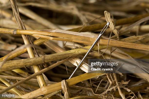 extreme closeup of a needle in a haystack - sewing needle bildbanksfoton och bilder