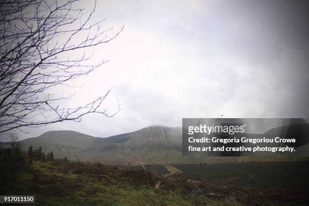 mountain view. - the galtee mountains - gregoria gregoriou crowe fine art and creative photography. stock pictures, royalty-free photos & images