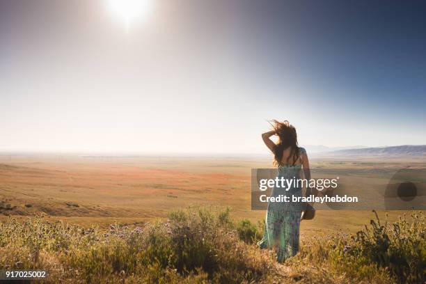 woman overlooking a windy antelope valley poppy reserve - antelope valley poppy reserve stock pictures, royalty-free photos & images