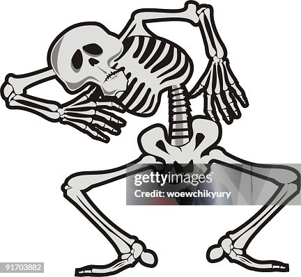 Skeleton Skeleton