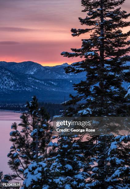 Trees along Highway 89 are coated in a light dusting of snow on January 21 in South Lake Tahoe, California. Though a six-year drought in California...
