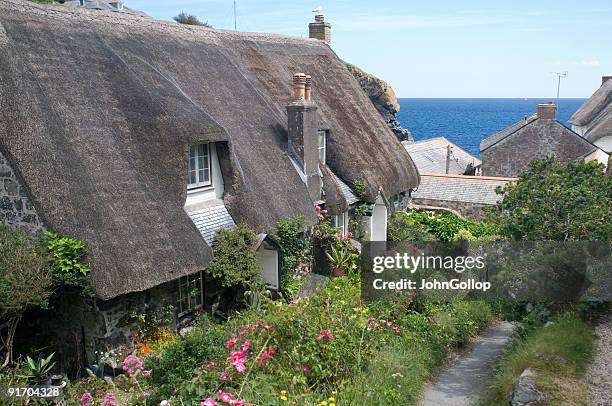 cottage, cadgwith - thatched roof stock pictures, royalty-free photos & images