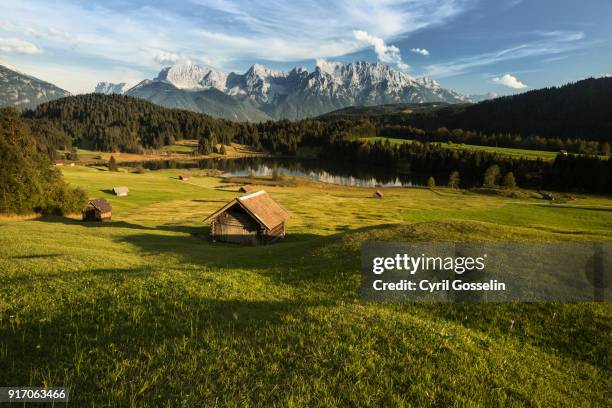 autumn at gerold lake - allgau stock pictures, royalty-free photos & images