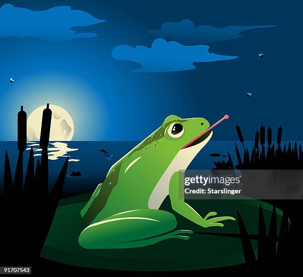 frogs at a lilly pond - toad stock illustrations