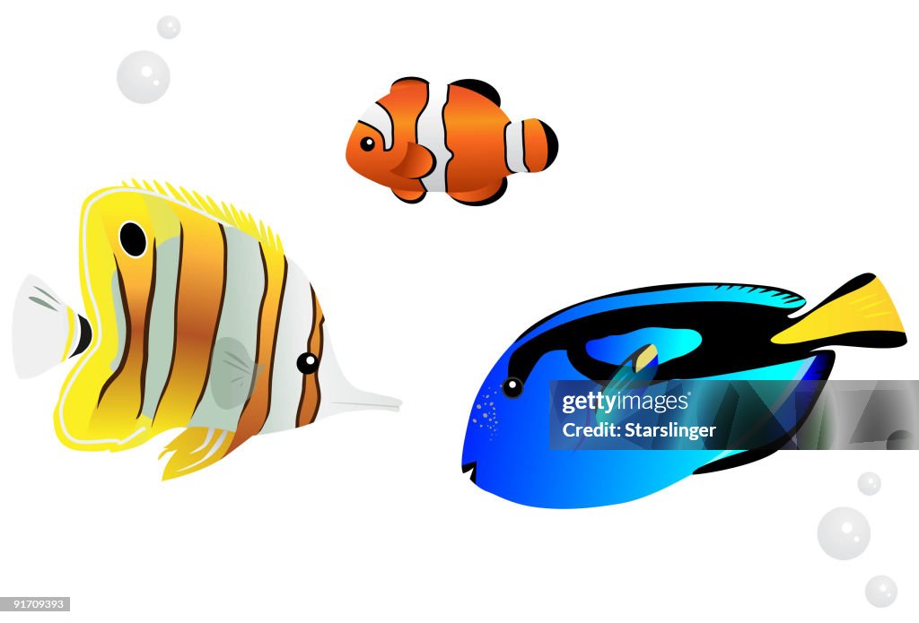 Tropical Fish