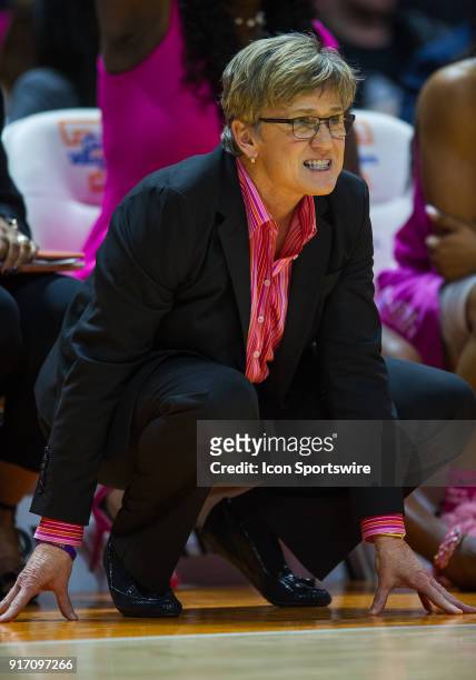 Tennessee Lady Volunteers head coach Holly Warlick during a game between the Georgia Bulldogs and Tennessee Lady Volunteers on February 11 at...