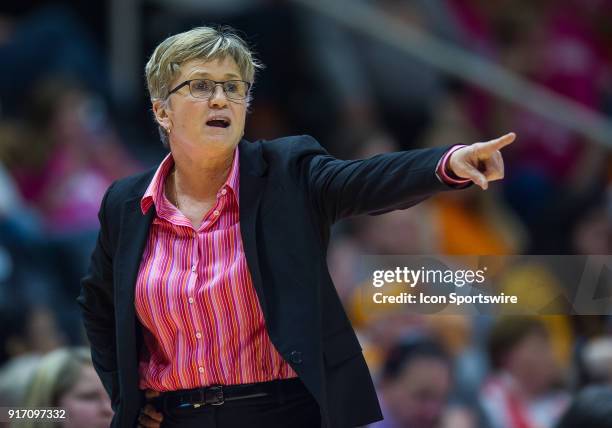 Tennessee Lady Volunteers head coach Holly Warlick during a game between the Georgia Bulldogs and Tennessee Lady Volunteers on February 11 at...