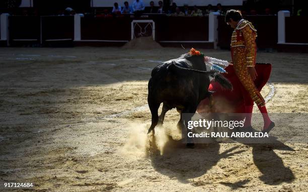 French bullfighter Sebastian Castella performs during a bullfight at La Santamaria bullring in Bogota, on February 11, 2018. - The Colombian...