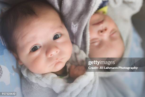 newborn male fraternal twins are next to each other on the couch in blankets.  one is sleeping, the other is awake. - twin babies stockfoto's en -beelden