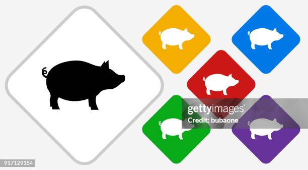 pig. - violet tail stock illustrations