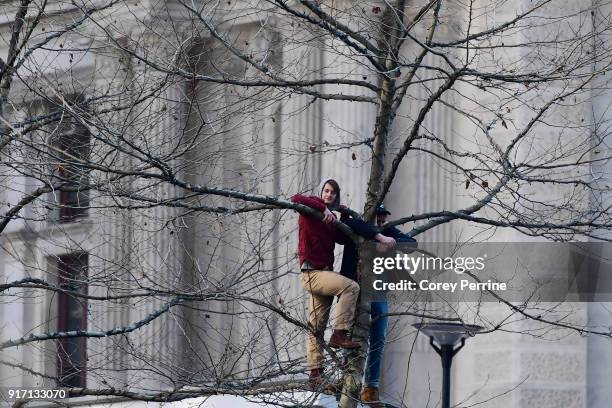 Eagles fans seek a higher vantage point in a tree during festivities on February 8, 2018 in Philadelphia, Pennsylvania. The city celebrated the...