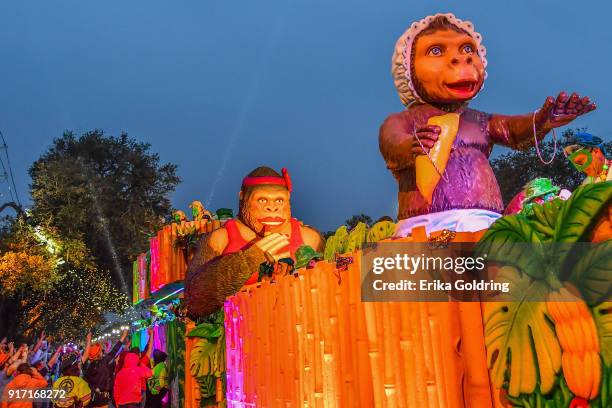 The 2018 Krewe of Bacchus parade takes place on February 11, 2018 in New Orleans, Louisiana.