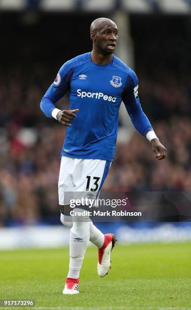 Eliaquim Mangala of Everton during the Premier League match between Everton and Crystal Palace at Goodison Park on February 10, 2018 in Liverpool,...