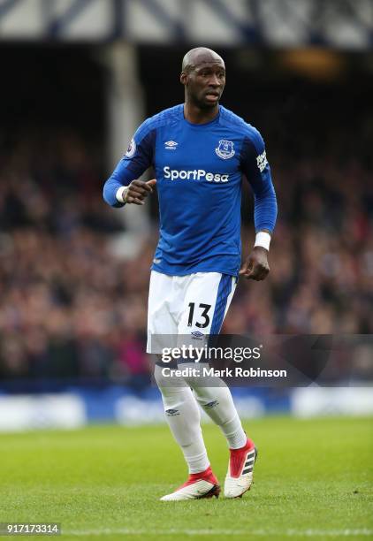 Eliaquim Mangala of Everton during the Premier League match between Everton and Crystal Palace at Goodison Park on February 10, 2018 in Liverpool,...