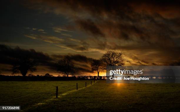 the field at sunset - joe houghton stock-fotos und bilder