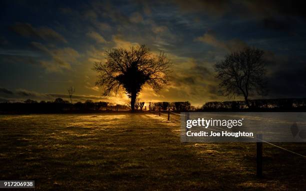 the field at sunset - joe houghton stock-fotos und bilder