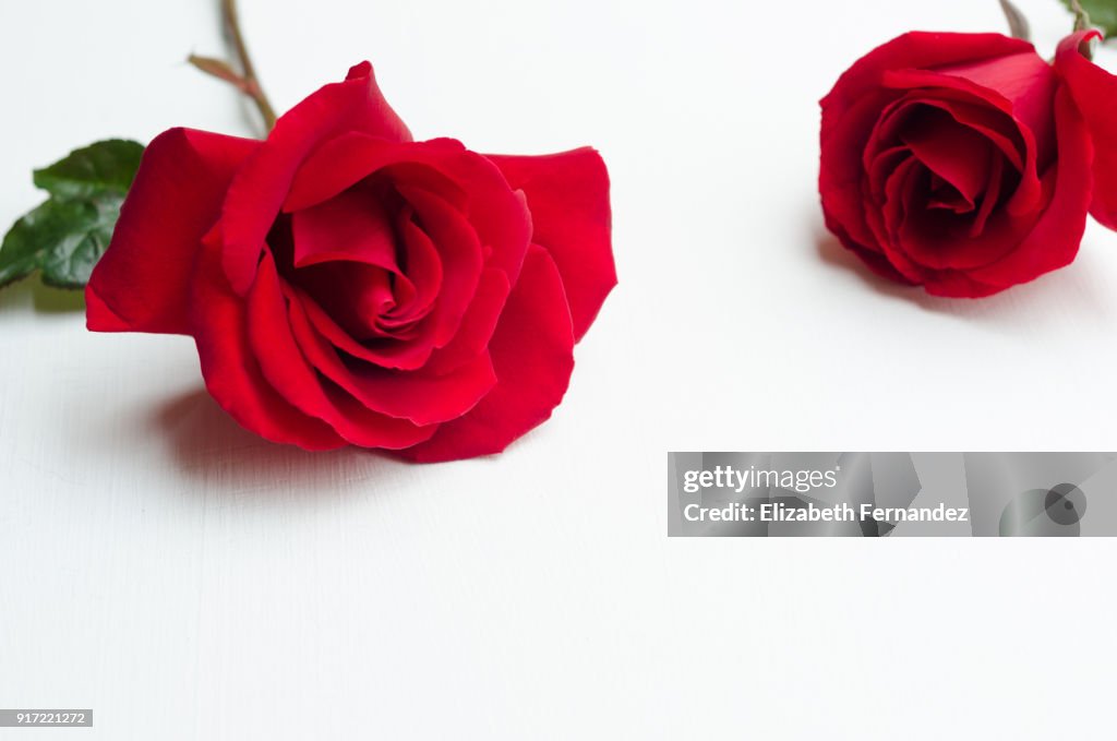 Red Roses High-Res Stock Photo - Getty Images