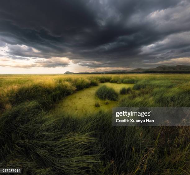 storm clouds and wetlands - gewitterwolke stock-fotos und bilder