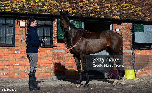Frodon is paraded around the stables at Manor Farm Stables on February 12, 2018 in Ditcheat, Somerset.