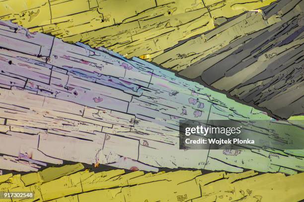 oxalic acid - oxalic acid stock pictures, royalty-free photos & images