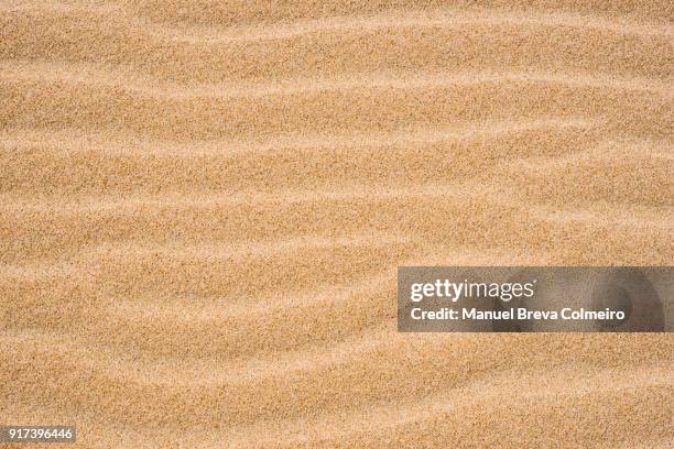 sand texture in the beach - sand textured textured effect stock pictures, royalty-free photos & images