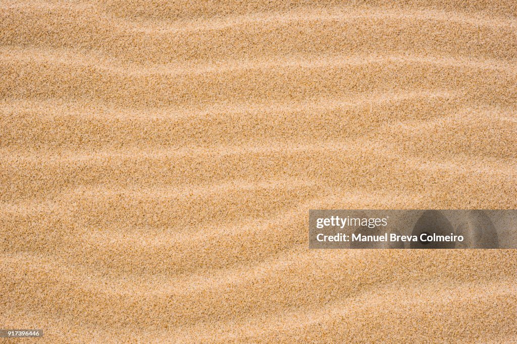 Sand texture in the beach
