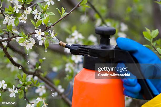 fertilizer trees - disinfection stock pictures, royalty-free photos & images