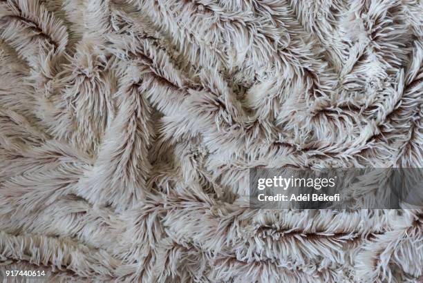 full frame shot of beige carpet - clean carpet stock pictures, royalty-free photos & images