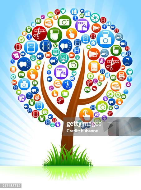 baum foto und fotografie hintergrund - ast baum hand frühling stock-grafiken, -clipart, -cartoons und -symbole