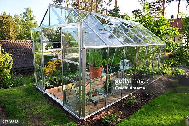 garden greenhouse - greenhouse stockfoto's en -beelden