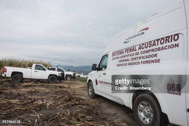 The truck of a forensic identification service sits parked at the entrance of a clandestine grave discovered at a sugarcane field in the town of...